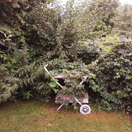 Apartament Im Rottal *